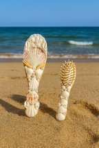 Bridal Seashell Comb