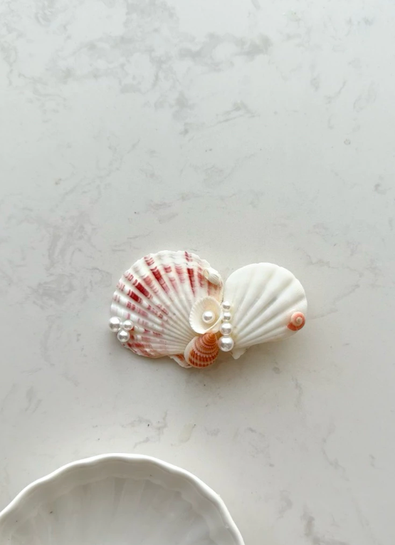27 Seashell Hair Clips