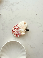27 Seashell Hair Clips