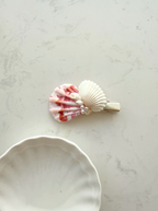 27 Seashell Hair Clips
