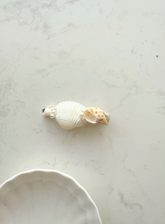 27 Seashell Hair Clips