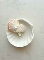 27 Seashell Hair Clips