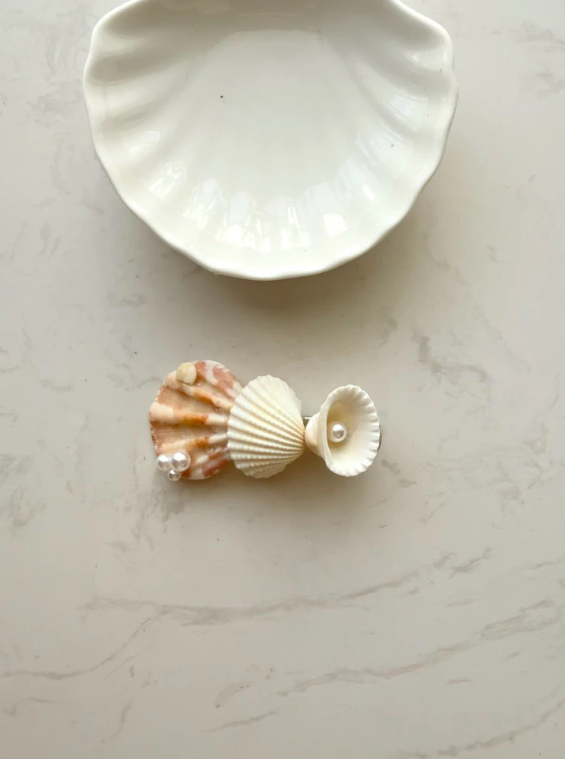 27 Seashell Hair Clips