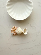 27 Seashell Hair Clips